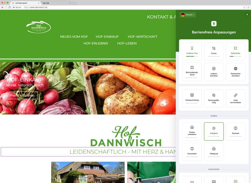Website Hof Dannwisch barrierefrei-plugin Übersicht